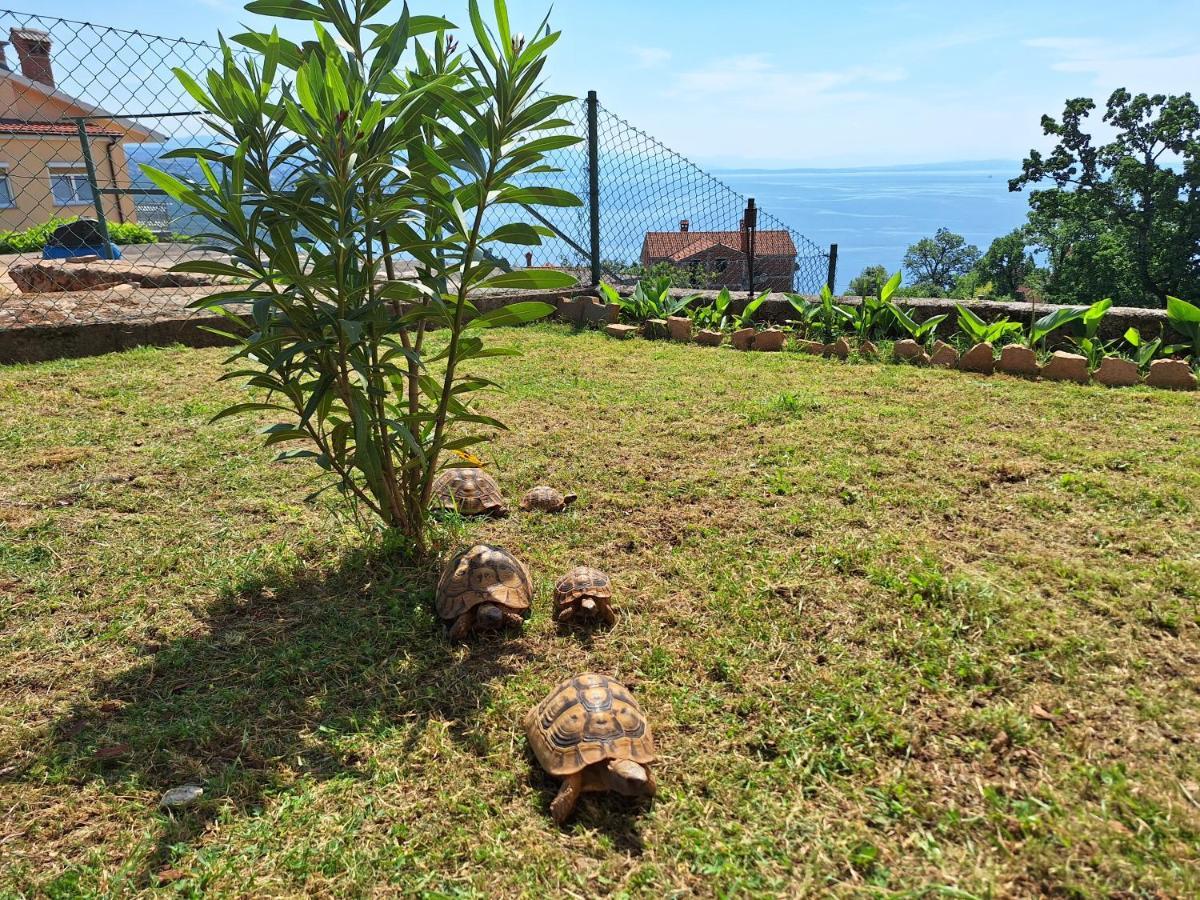 Apartmani Marini Opatija Bagian luar foto